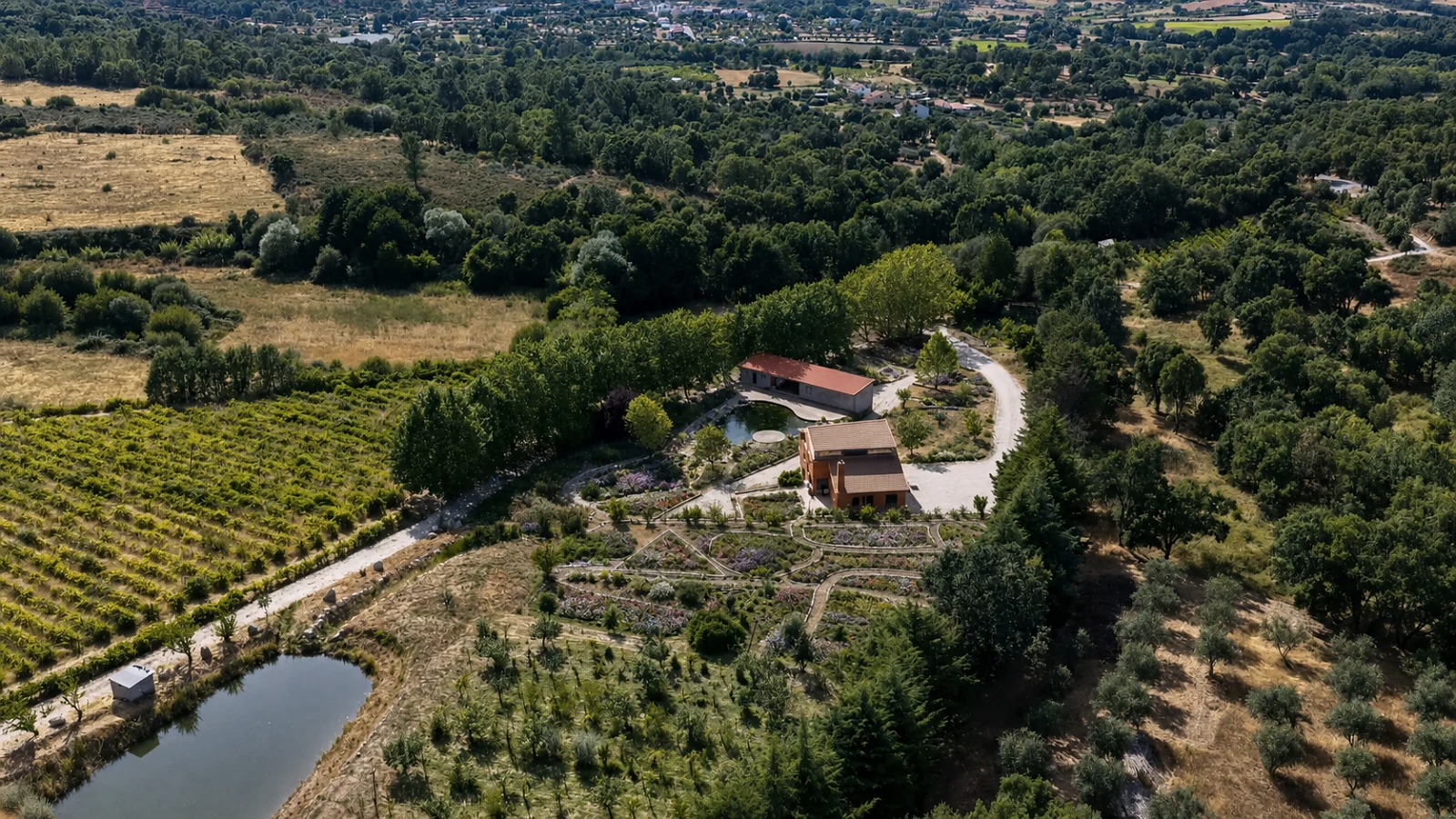 Aerial view of the estate: buildings, pond, garden beds, vineyards and woodland